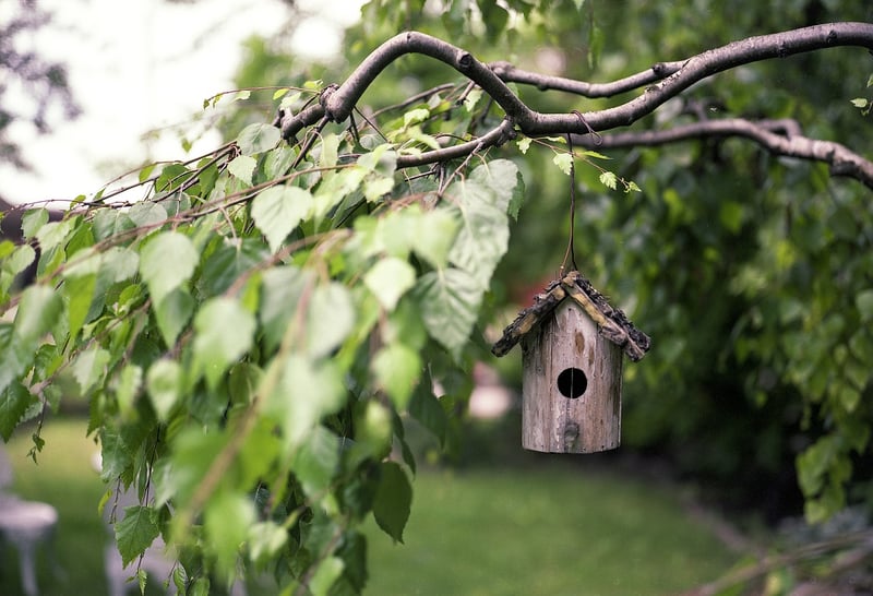 Wildlife Habitats